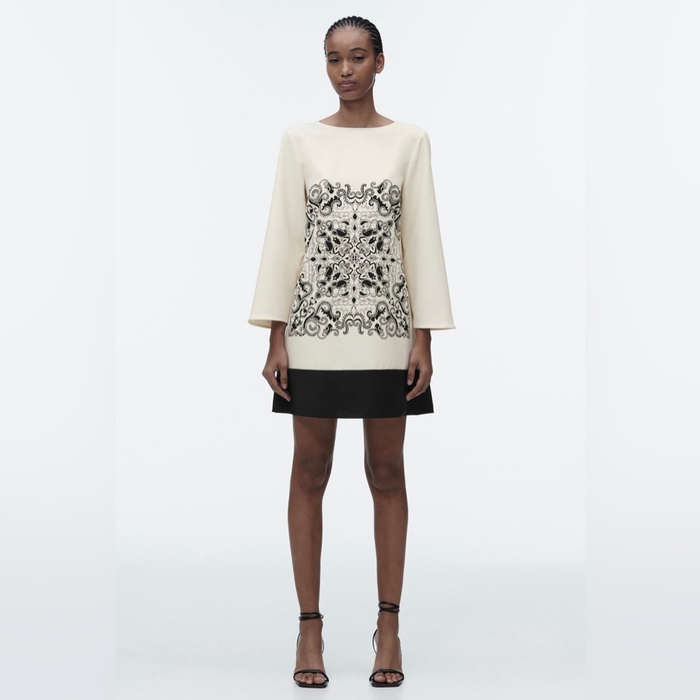 Zara Printed Shift Dress